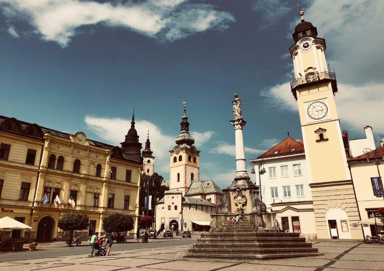 Bl City View Apartment, 24Hr Self Check-In, Free Private Parking, Panoramic View From Balcony, 5-Minute Walk To City Centre Bańska Bystrzyca Zewnętrze zdjęcie